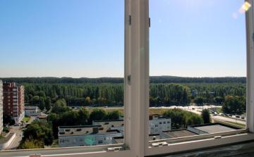 IMG_0278_Copy