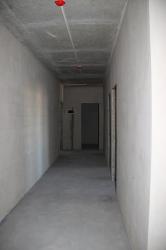 IMG_0238_Copy